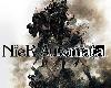 [原]NieR:Automata™／尼爾：<strong><font color="#D94836">自動人形</font></strong> 全DLC 完整4.0漢化完美無BUG版(PC@簡中@ZS/多空@51.4GB)(9P)